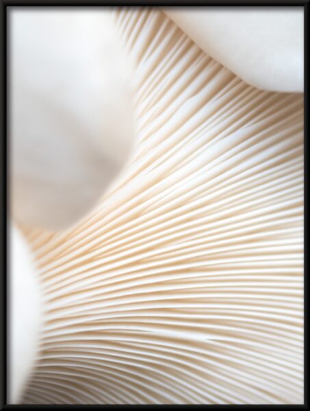 Affiche tubes blancs – Image 4