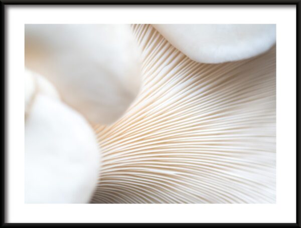 Affiche tubes blancs