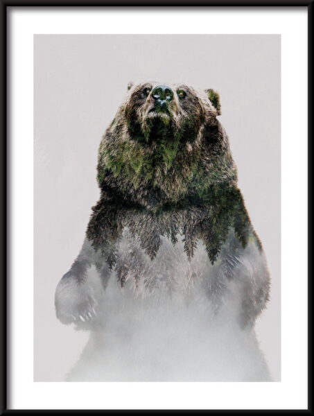 Ours dangereux Poster – Image 3