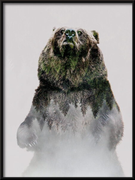 Ours dangereux Poster – Image 4