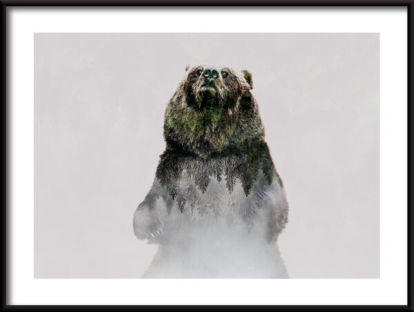 Ours dangereux Poster