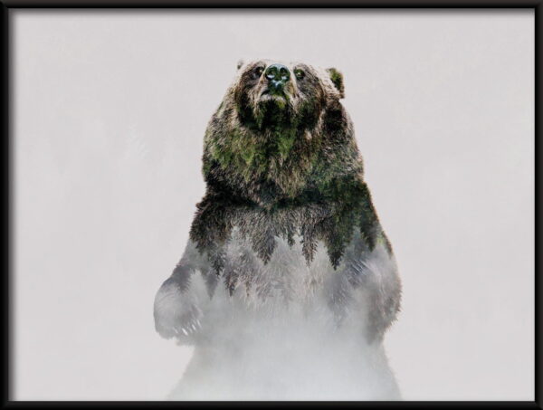 Ours dangereux Poster – Image 2