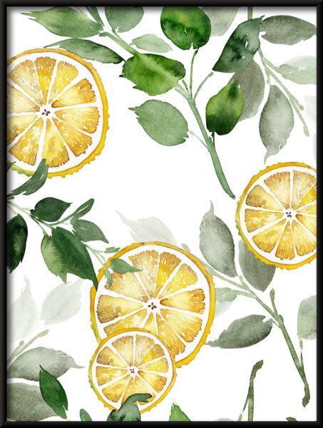 Citronnier – Image 2