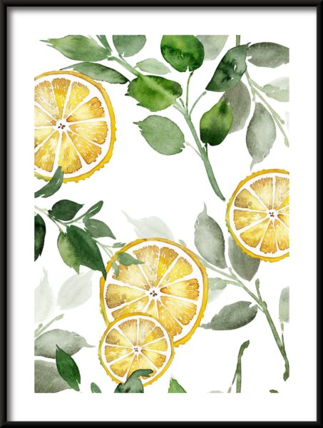 Citronnier