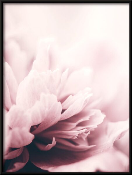 Affiche de fleurs se bouchent – Image 4