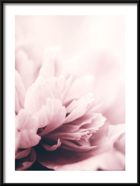 Affiche de fleurs se bouchent – Image 3