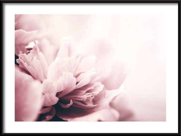 Affiche de fleurs se bouchent