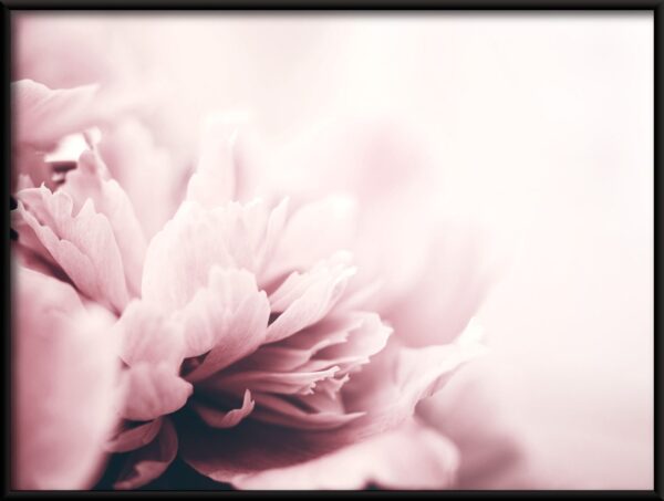 Affiche de fleurs se bouchent – Image 2