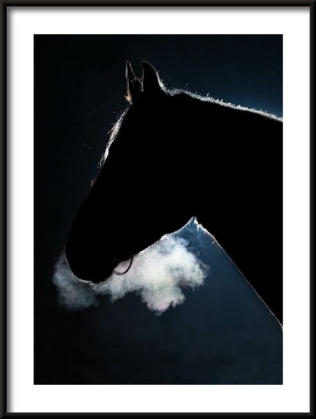 Affiche cheval noir – Image 3