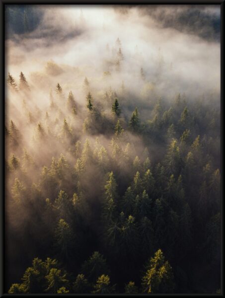 La rivière de brouillard Poster – Image 2