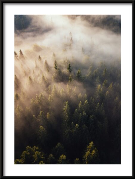 La rivière de brouillard Poster