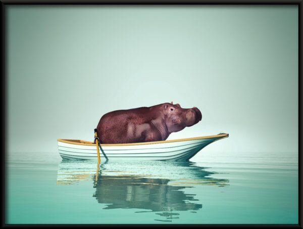 Bateau hippopotame – Image 2