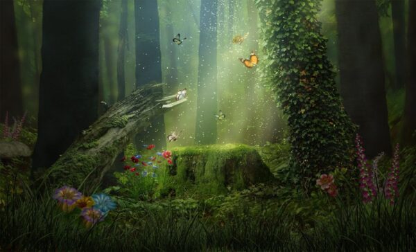 Peinture murale Forêt brillante
