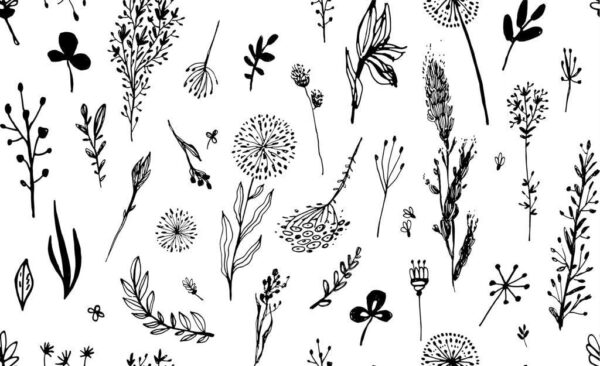 Sticker mural Fleurs sombres