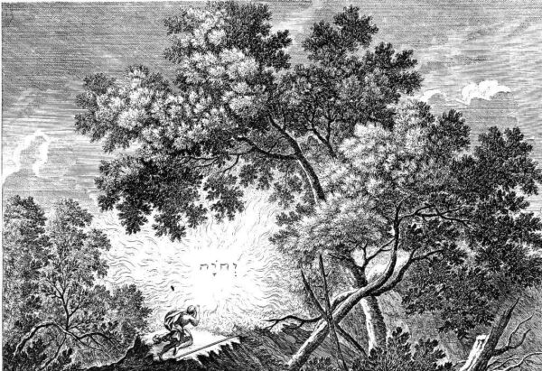 Poster XXL Sous l'arbre