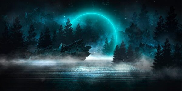 Peinture murale Nuit Fantastique