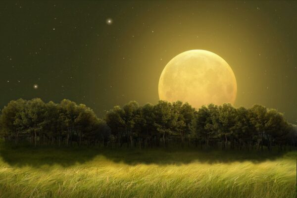 Peinture murale Lune jaune