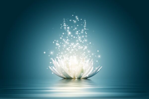 Peinture murale Fleur de lotus