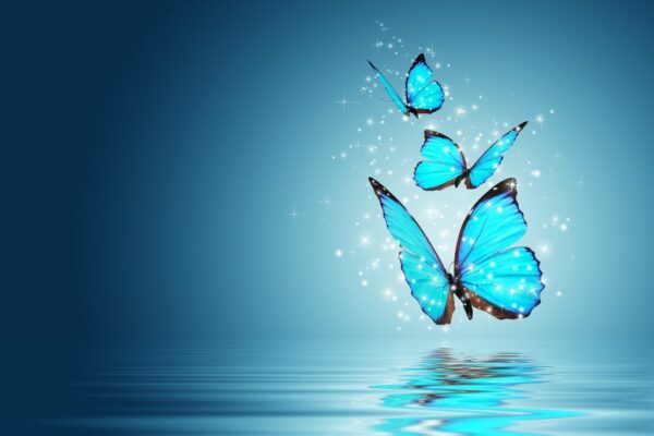 Peinture murale Papillon bleu