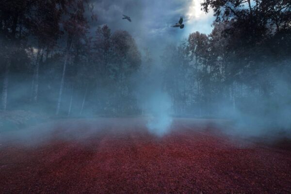 Peinture murale Brouillard blanc