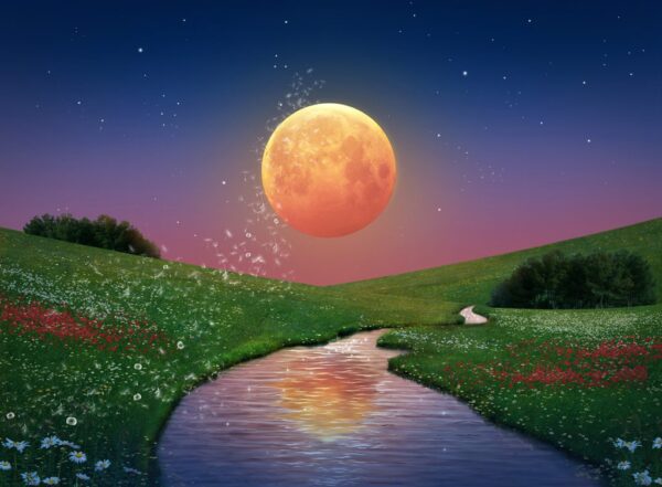 Peinture murale La Lune sur la rivière
