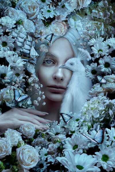 Image de la reine blanche – Image 2