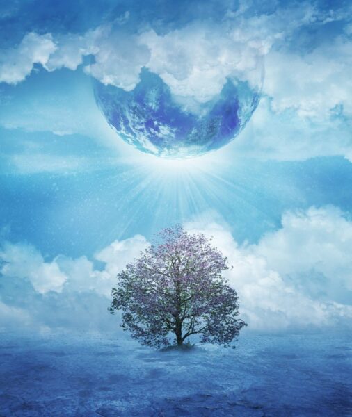Poster XXL Dernier arbre