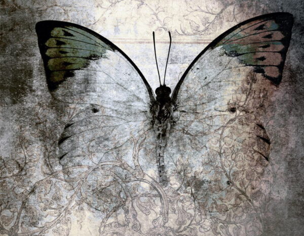 Poster XXL Grand papillon