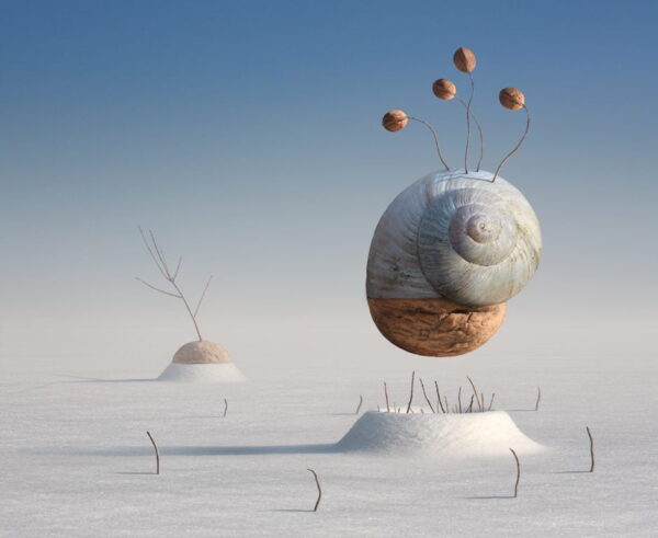 Peinture murale Escargot d'hiver