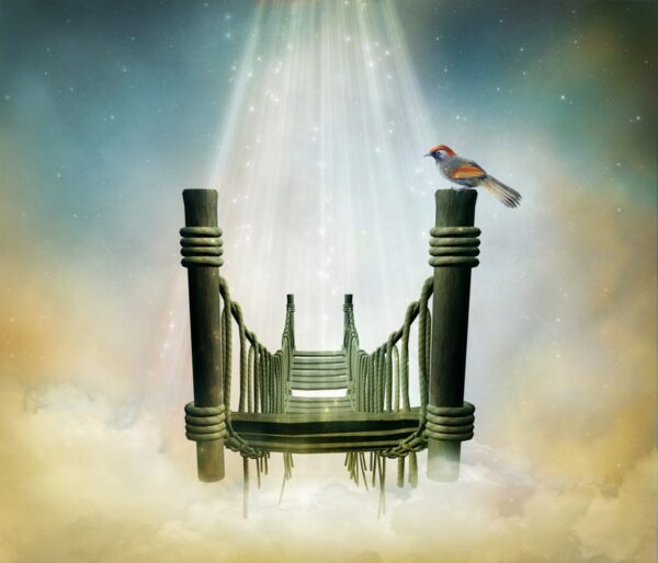 Poster XXL Pont de Lumière