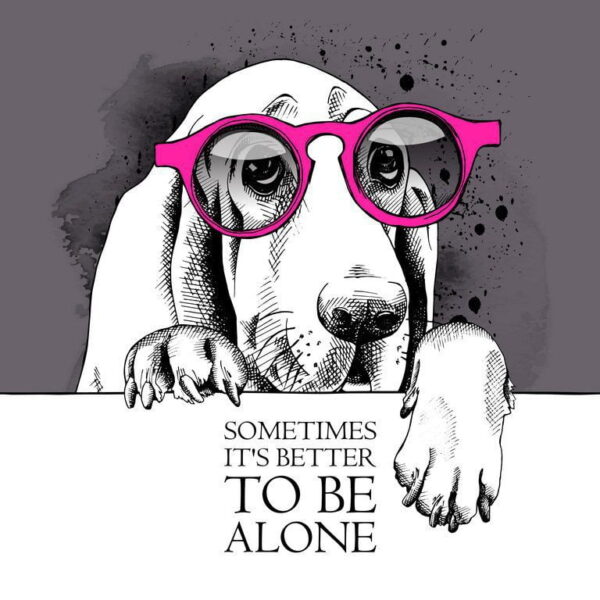 Peinture murale Chien solitaire