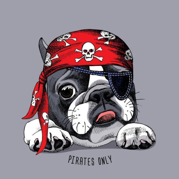 Poster XXL Pirate Chien