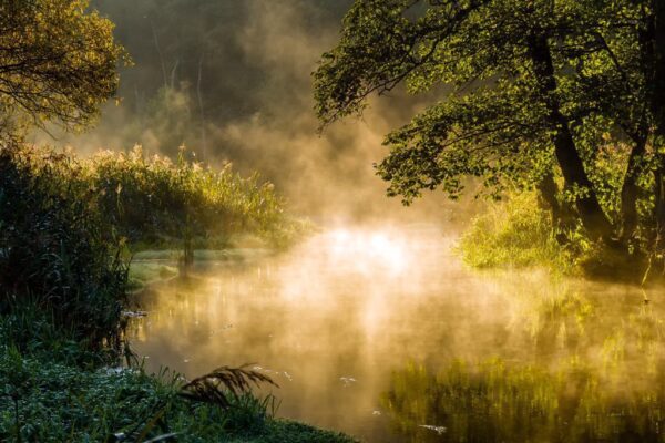 Peinture murale Brouillard sur Supraśl