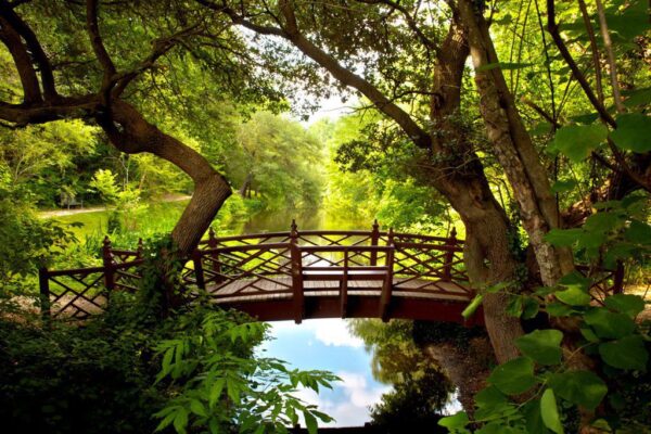 Peinture murale Pont dans la verdure