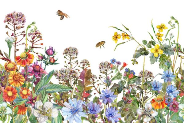 Peinture murale Prairie en fleurs