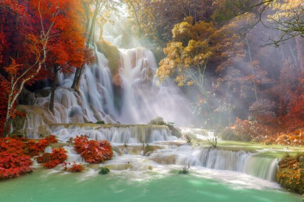 Peinture murale Paysage d'automne