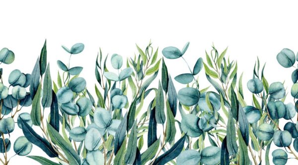 Peinture murale Pastel Eucalyptus