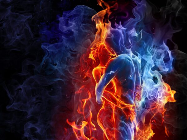Peinture murale Baiser Flamboyant