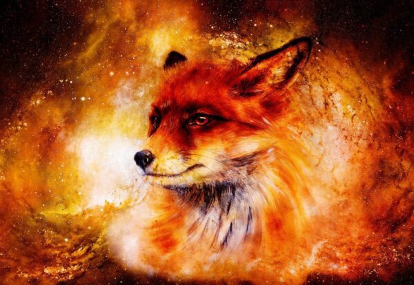 Poster XXL Space Fox