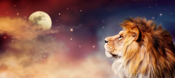 Peinture murale Regarder la lune