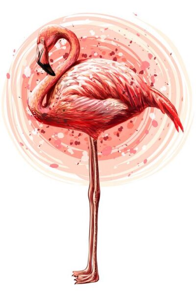 Poster XXL Flamant rose