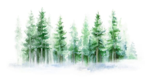 Peinture murale Forêt verte