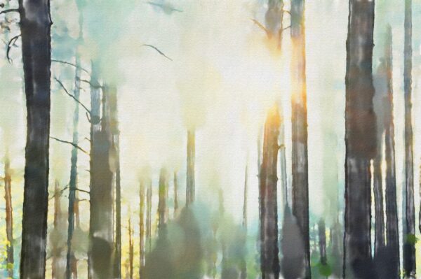 Peinture murale Le soleil dans la forêt