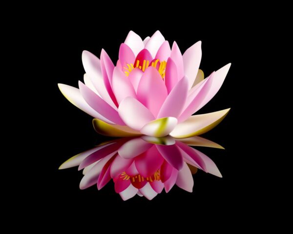 Poster XXL Lily en Noir