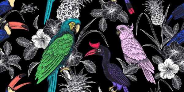 Peinture murale Oiseaux de paradis