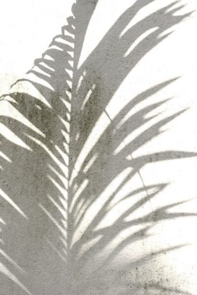 Sticker mural Feuille Ombre