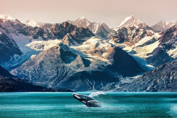 Peinture murale Baleine et Montagnes