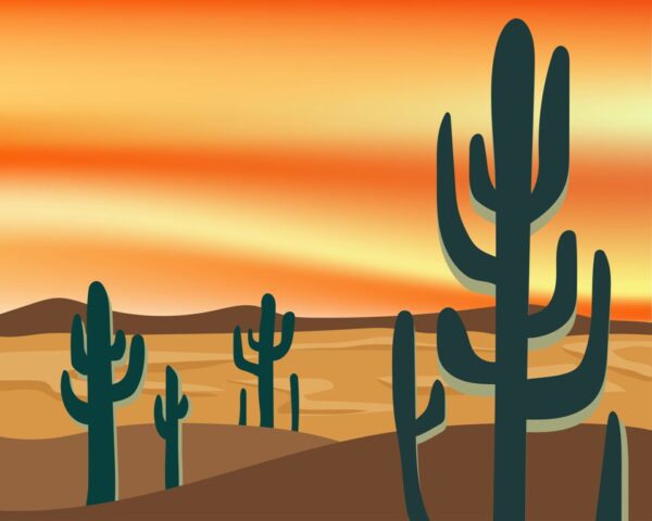 Peinture murale Champ de cactus