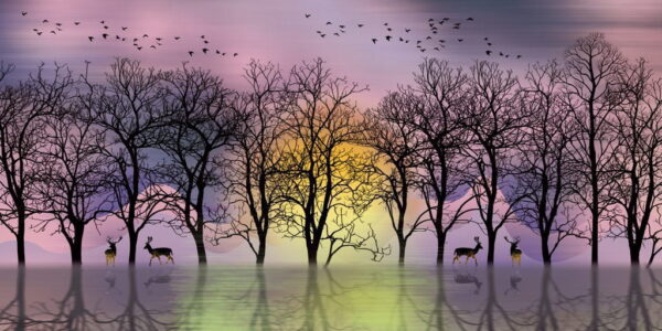 Peinture murale Image de la Nature