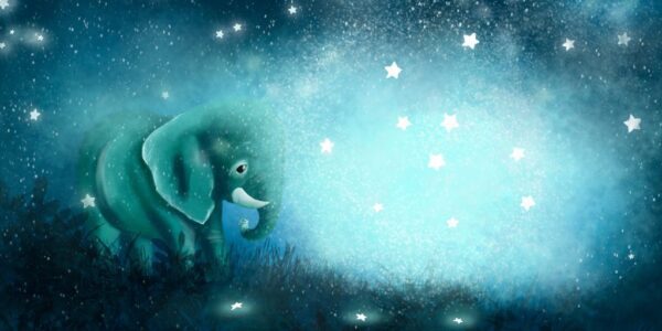 Peinture murale Éléphant et Étoiles